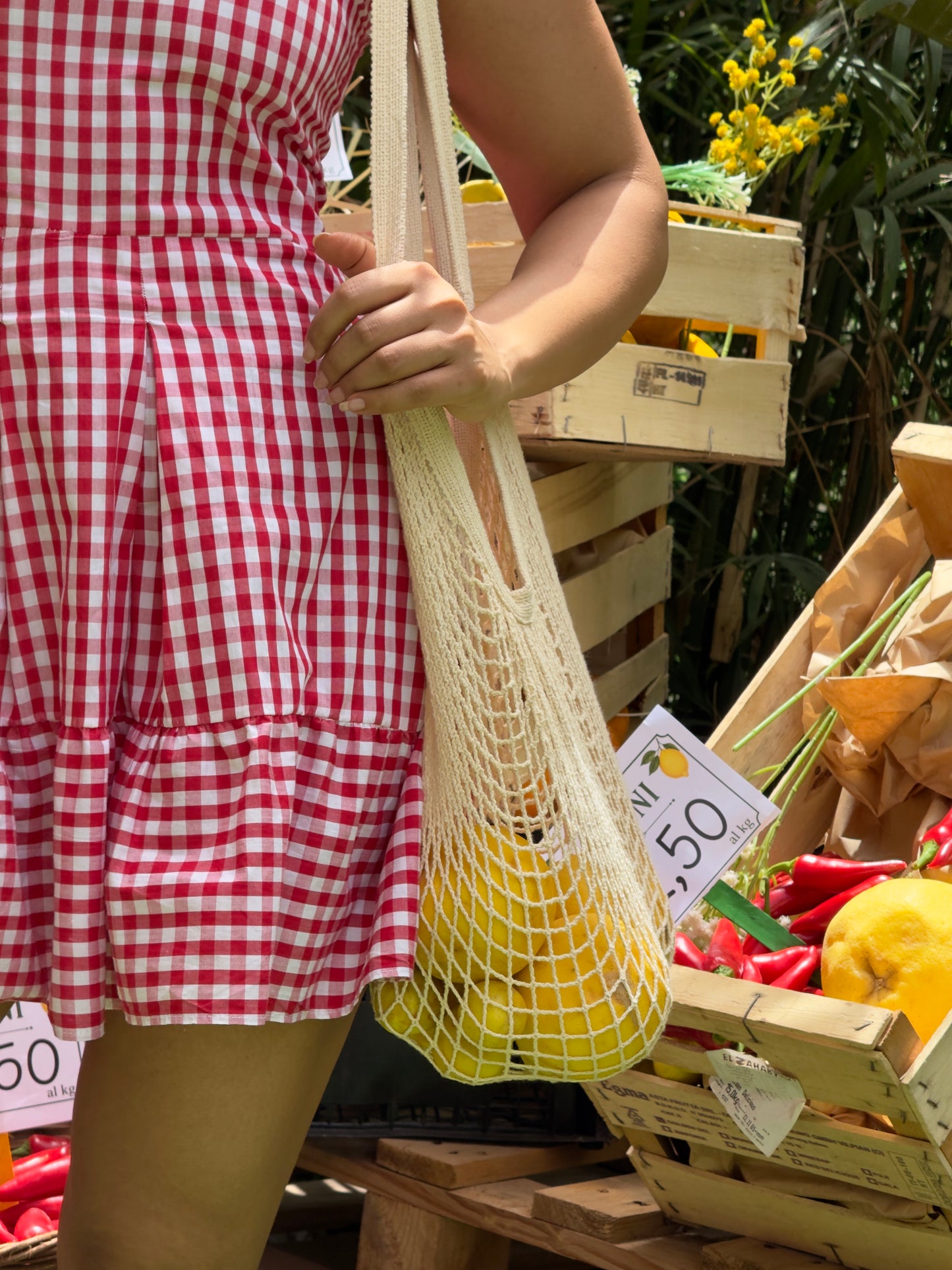 The Picnic Muse Dress